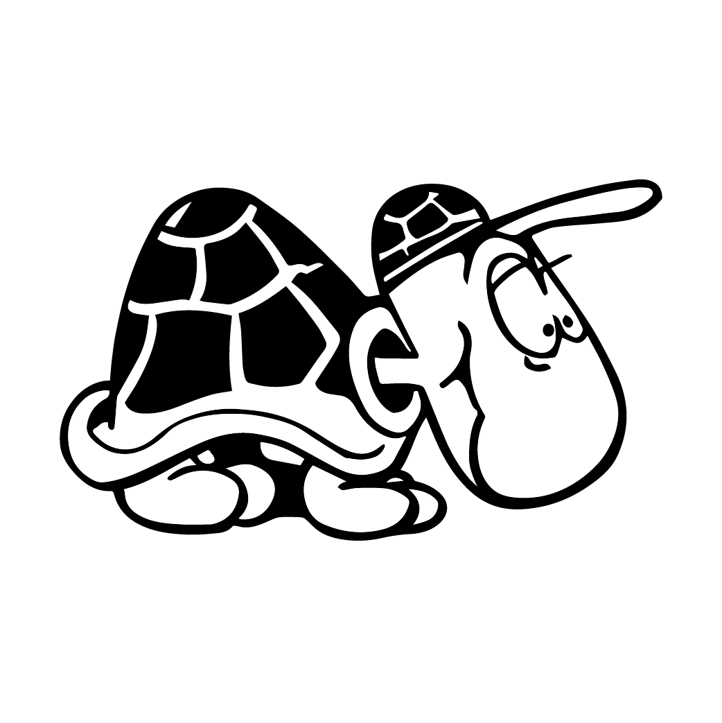 Fun Kleber Schildkröten Turtle